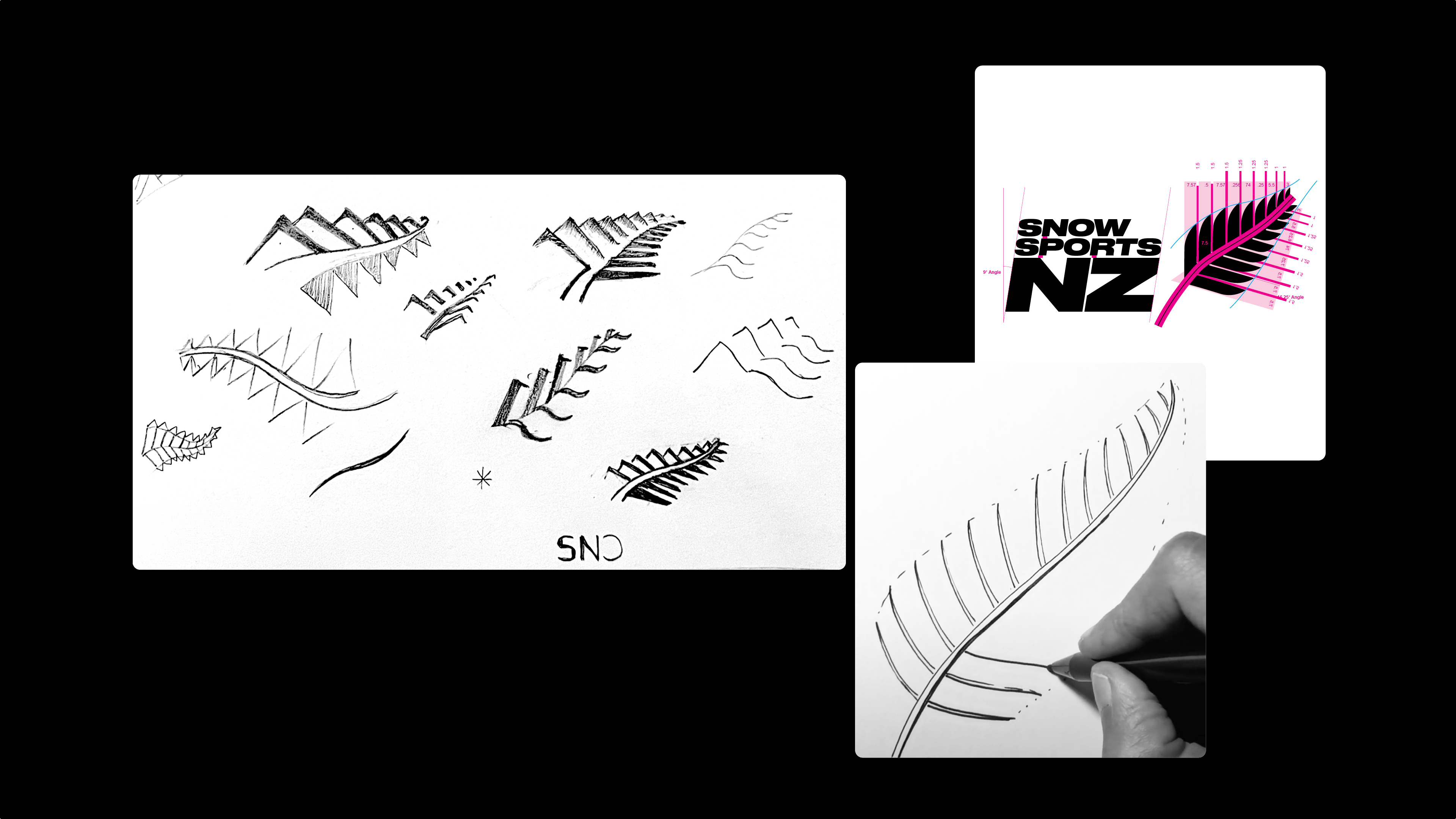 Snow Sports NZ Case Study v35