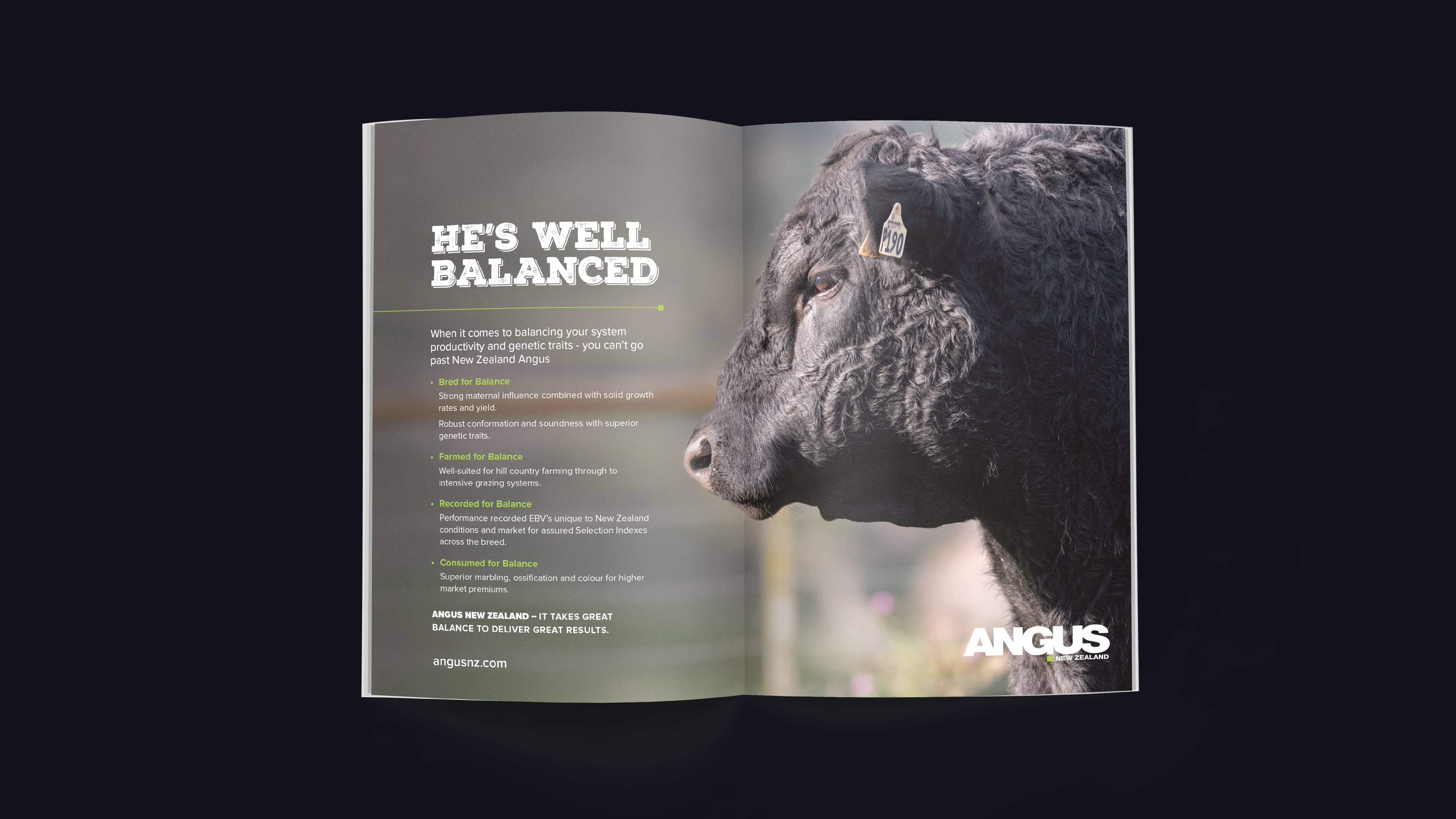 Fluid Angus NZ Advert 5