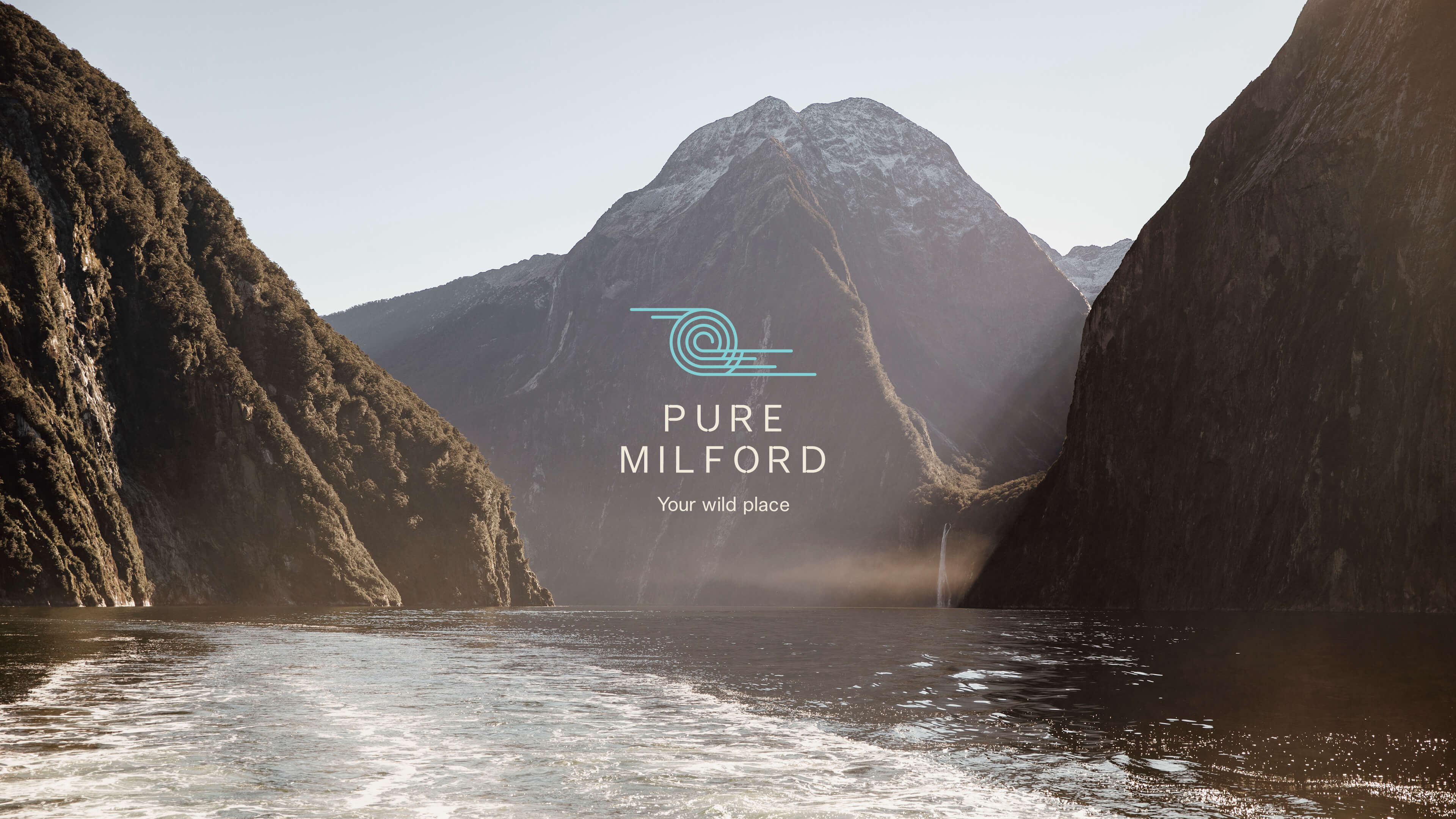 Fluid Pure Milford Brand Identity 1
