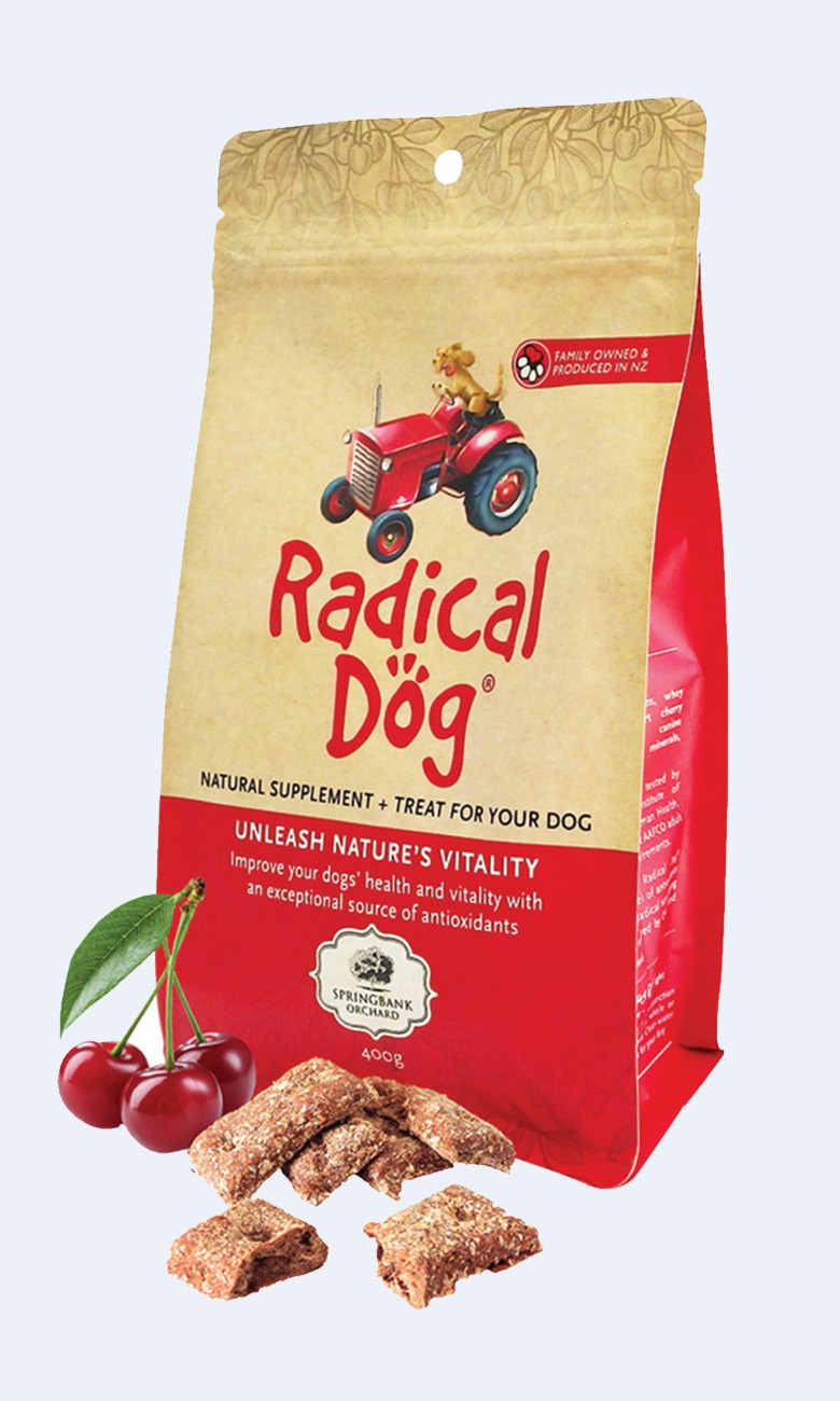 Radical Dog Feature Image Portrait