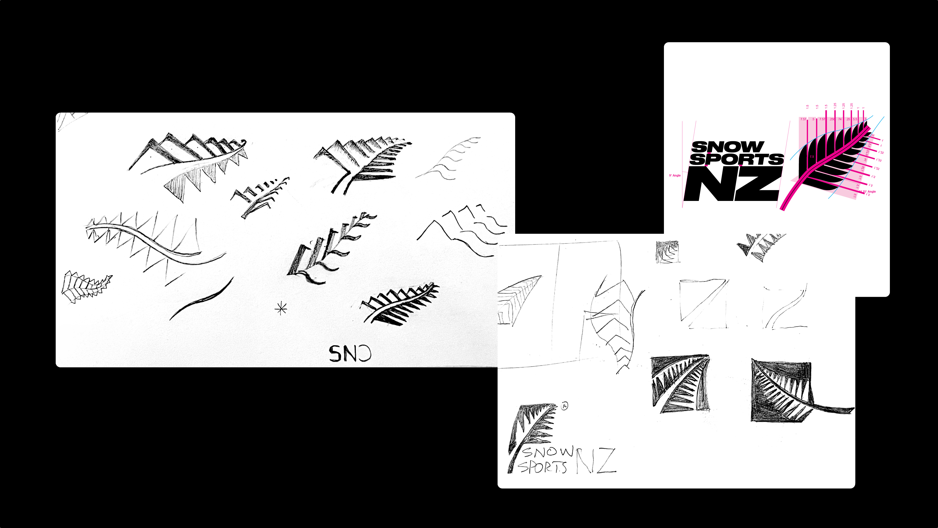 Snow-Sports-NZ-Case-Study_v35.jpg